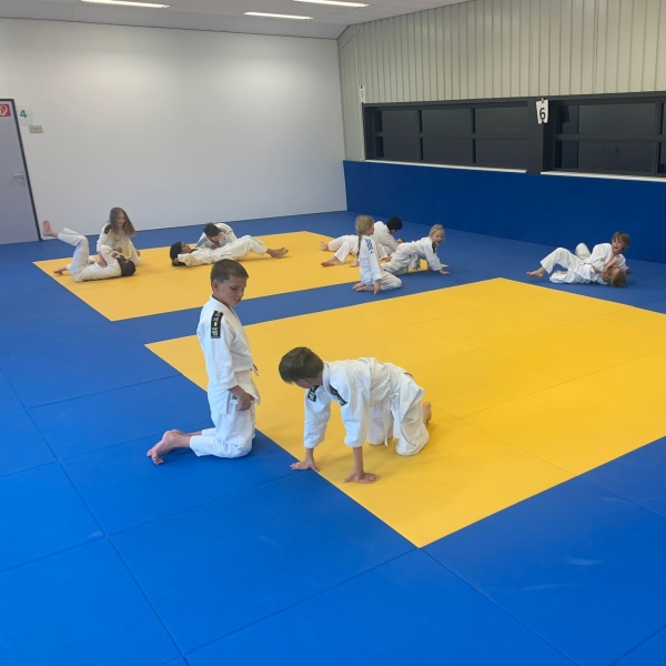 Judo